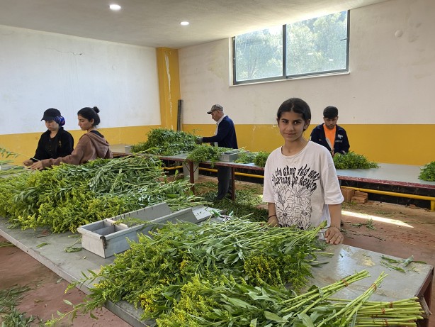 Foto - Hollanda’sından ta Almanya’sına kadar! Türkiye’de üretiliyor kapış kapış gidiyor