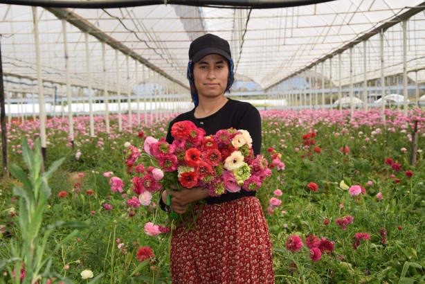 Foto - Hollanda’sından ta Almanya’sına kadar! Türkiye’de üretiliyor kapış kapış gidiyor