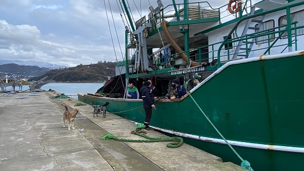 Foto - Hopalı balıkçıların hamsi coşkusu