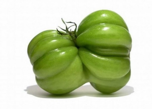 Foto - Hormonlu sebze meyveler işte böyle anlaşılıyor Aman dikkat!