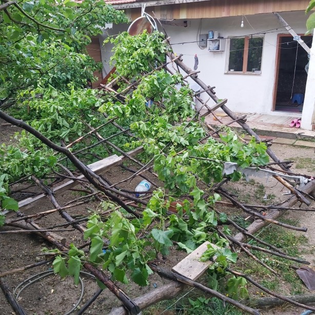 Foto - Hortum dehşeti kamerada! Elektrik direkleri ve ağaçlar devrildi