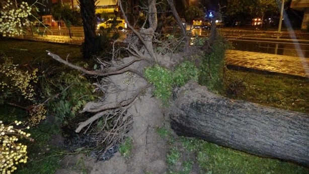 Foto - Hortum sonrası korkunç görüntüler! Ortalık savaş alanına döndü