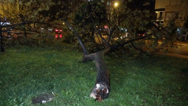 Foto - Hortum sonrası korkunç görüntüler! Ortalık savaş alanına döndü