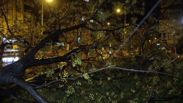 Foto - Hortum sonrası korkunç görüntüler! Ortalık savaş alanına döndü