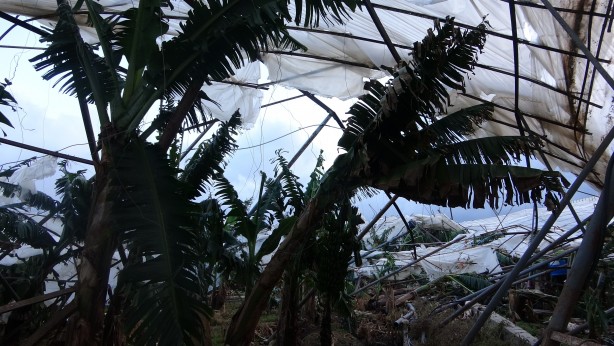 Foto - Hortum yıkıp geçirdi! Korku dolu anları anlattılar