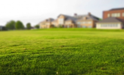 Foto - Hükümet uygun yollu arsa satışına başladı! Bu fiyata araba bile alamazsınız, duyan başvuruya koştu