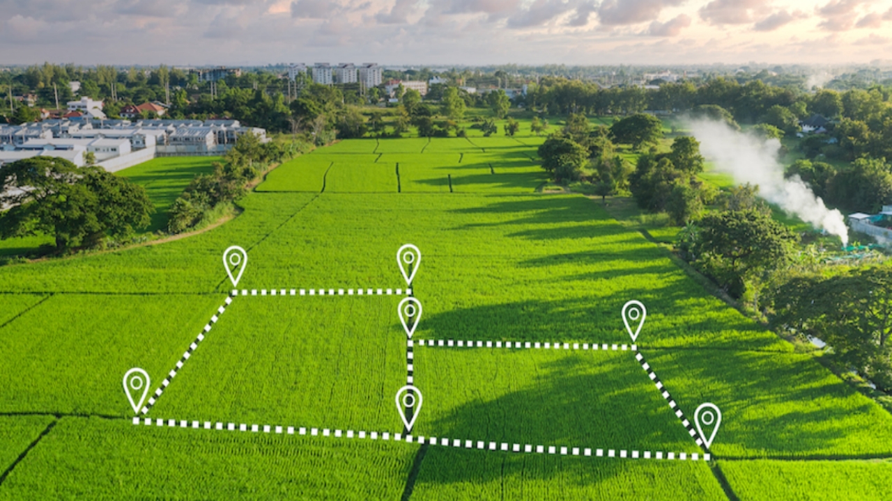 Foto - Hükümetten, fahiş fiyatı bitirecek flaş hamle! 81 ilde devreye alınacak! İşte buna şapka çıkartılır