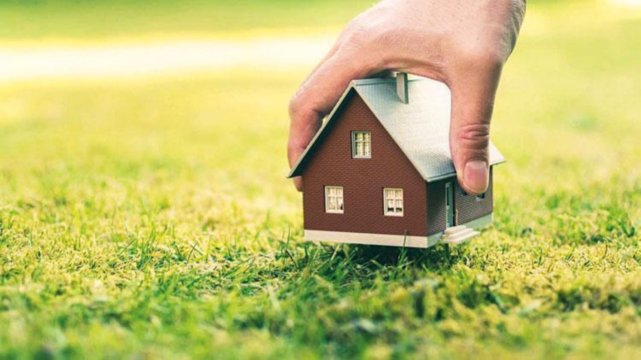 Foto - Hükümetten, fahiş fiyatı bitirecek flaş hamle! 81 ilde devreye alınacak! İşte buna şapka çıkartılır