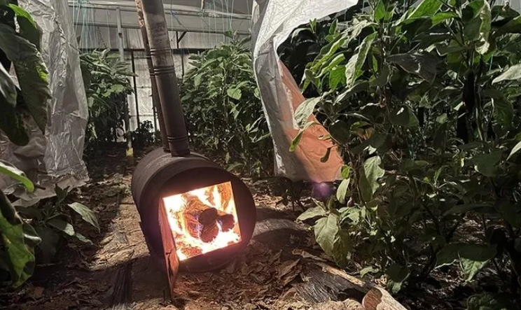 Foto - Hükümetten zirai don için 3 aşamalı plan