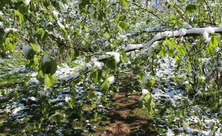 Foto - Hükümetten zirai don için 3 aşamalı plan