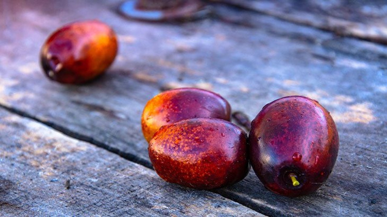 Foto - Hünnap biraz yabancı gelebilir ama yararları saymakla bitmez! 