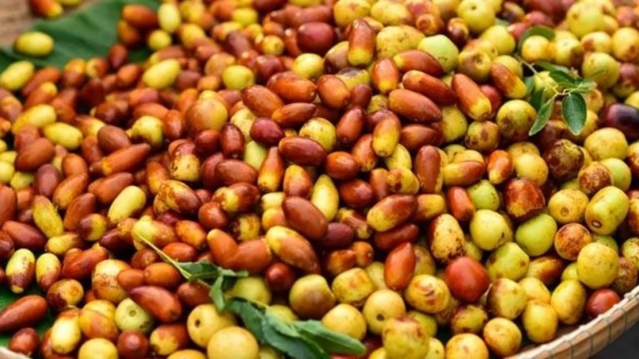 Hünnap biraz yabancı gelebilir ama yararları saymakla bitmez! 