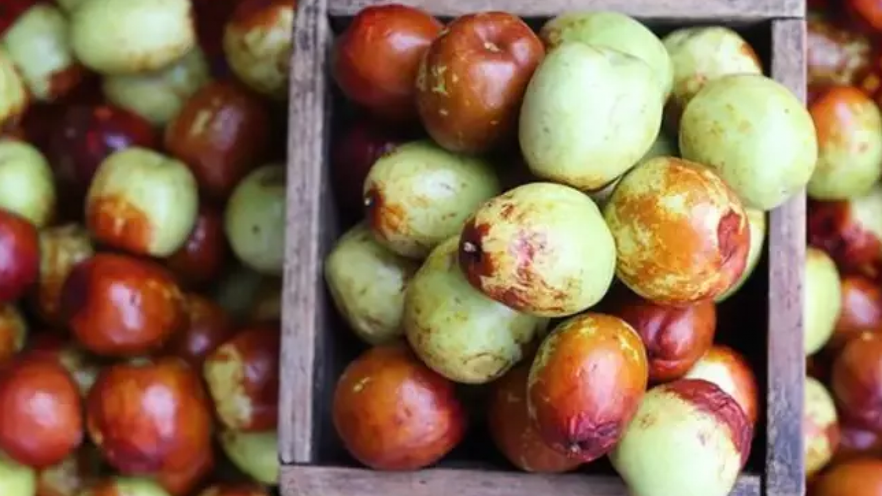 Foto - Japonların ölümsüzlük meyvesi doktor hünnap tezgahta! Kilosu 125 TL... İşte faydaları!