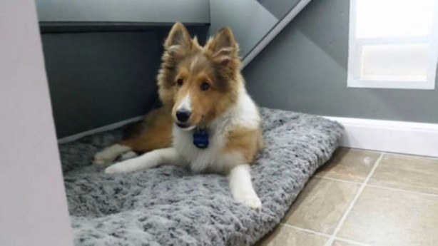 Foto - Hurda evin son hali görenleri hayrete düşürdü!