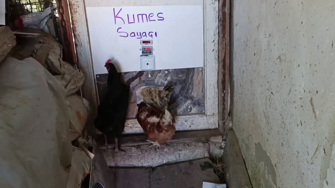 Foto - Hurda malzemeler kullandı! Yurdum insanı neler yapmayı beceriyor böyle