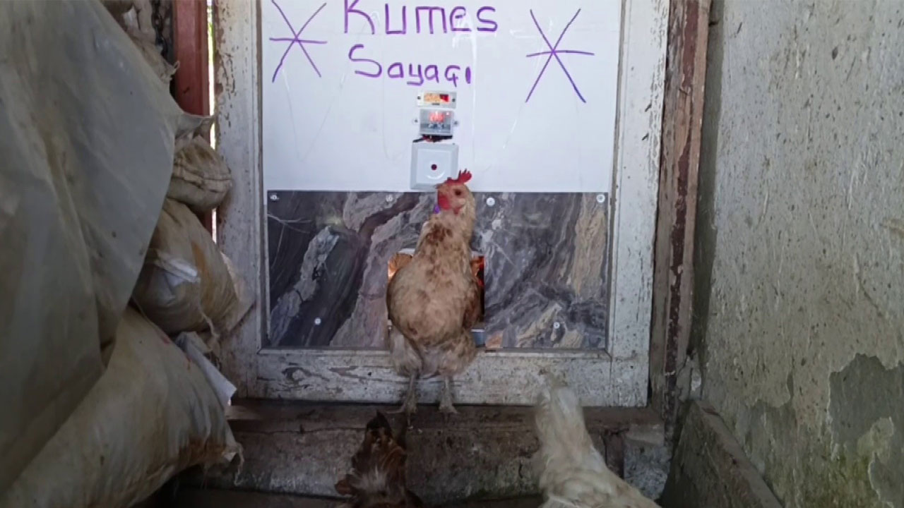 Hurda malzemeler kullandı! Yurdum insanı neler yapmayı beceriyor böyle