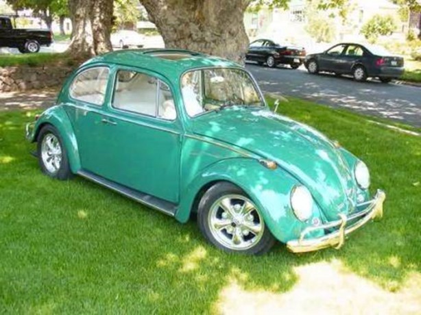 Foto - Hurdanın son haline hayret edeceksiniz!