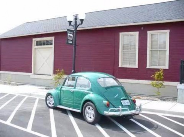 Foto - Hurdanın son haline hayret edeceksiniz!