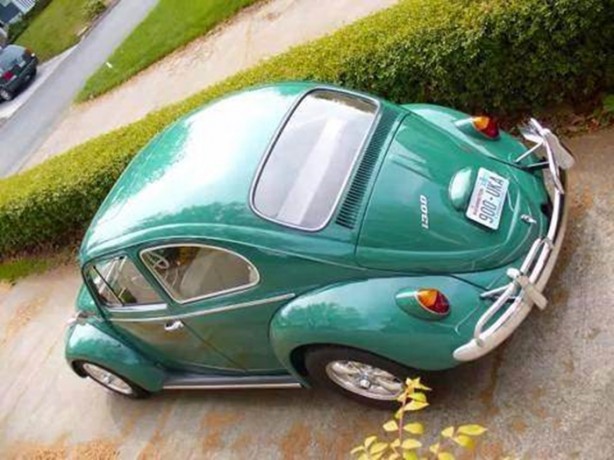 Foto - Hurdanın son haline hayret edeceksiniz!