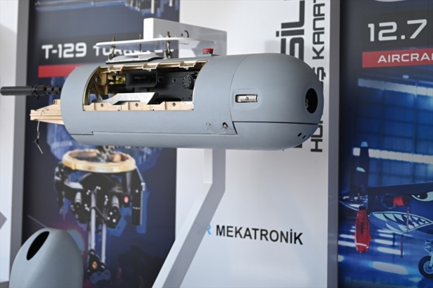 Foto - Hürkuş'a görülmemiş özellik! Dünya örneği yok denecek kadar az