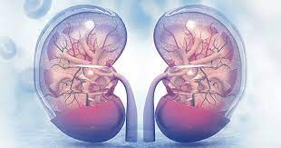 Foto - Hurma çekirdeğini atmayın: Çünkü müthiş bir faydası bulundu, duyan şaşırdı! Hurmaya dair bilinmeyenler