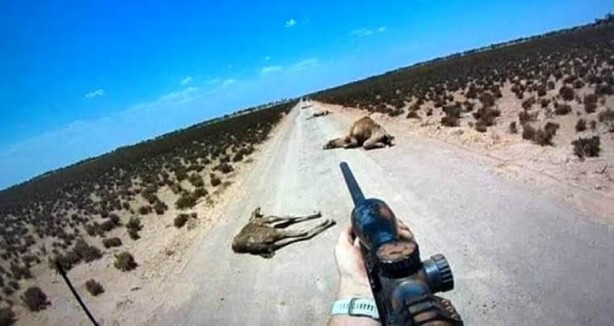 Foto - Hüseyin Çevik'ten şok sözler: Her şey develerin öldürülmesiyle başladı, 2024'te 'bu felaket olacak' diyorlar