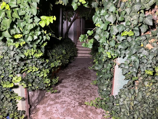 Foto - Husumetlisini silahla vuran şahıs özel harekat operasyonu ile yakalandı