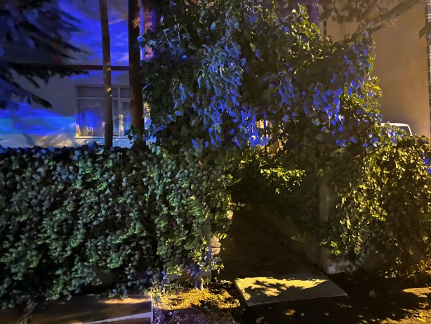 Foto - Husumetlisini silahla vuran şahıs özel harekat operasyonu ile yakalandı