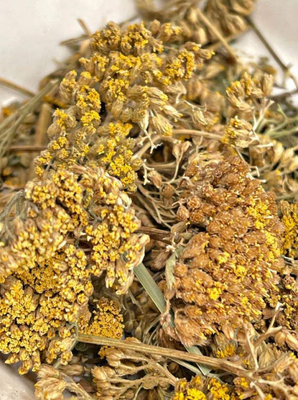 Foto - Huzur getiren çay! Faydaları saymakla bitmiyor