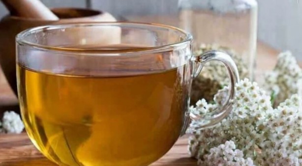 Foto - Huzur getiren çay! Faydaları saymakla bitmiyor