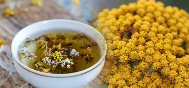 Foto - Huzur getiren çay! Faydaları saymakla bitmiyor