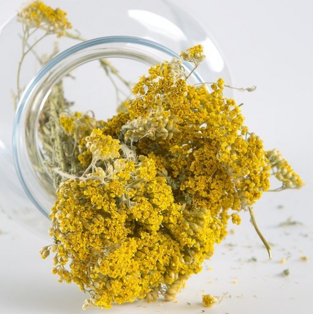 Foto - Huzur getiren çay! Faydaları saymakla bitmiyor