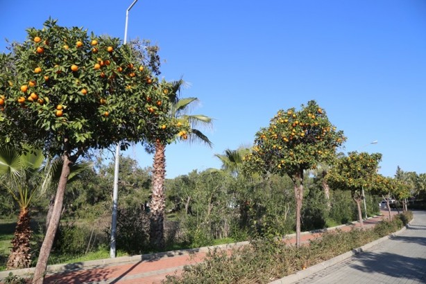 Foto - Huzurun adresi: Titreyengöl