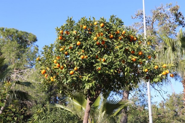 Foto - Huzurun adresi: Titreyengöl