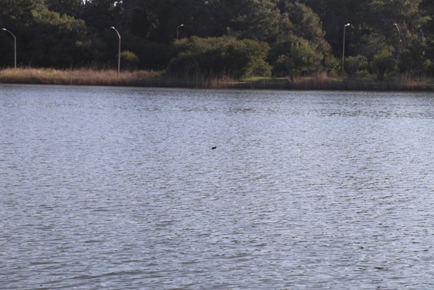 Foto - Huzurun adresi: Titreyengöl