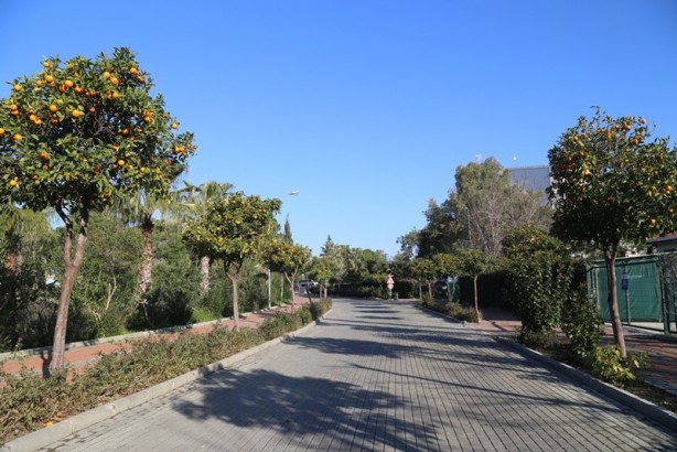 Foto - Huzurun adresi: Titreyengöl