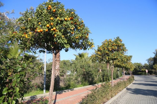 Foto - Huzurun adresi: Titreyengöl