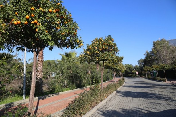 Foto - Huzurun adresi: Titreyengöl