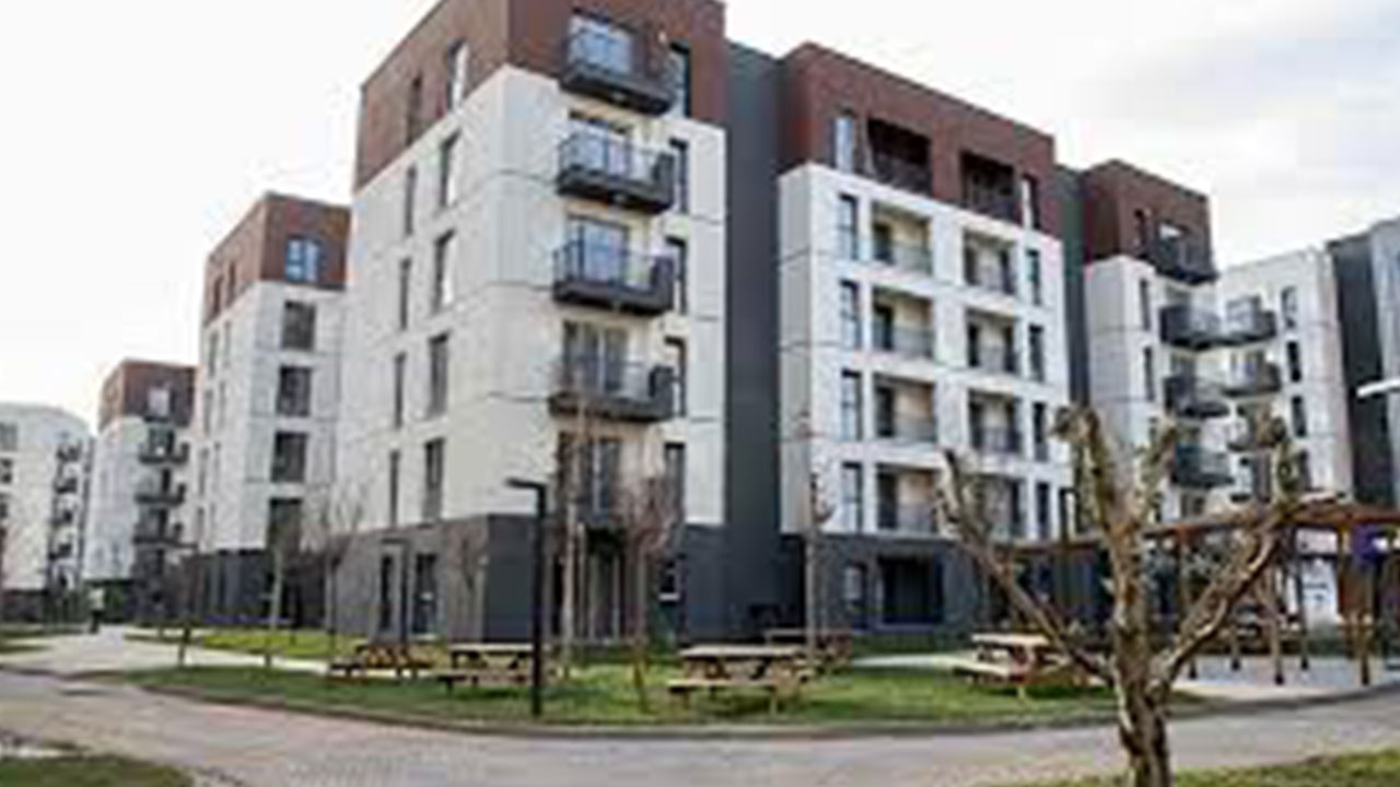 Foto - İBB'den  Gezici yandaşlara kıyak daire avantajı: Üç ağacın yer değiştitmesine kıyameti kopartanlara yarı fiyatına konut