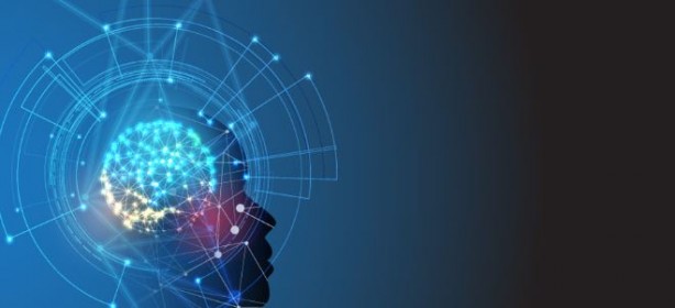 Foto - IBM'den daha fazla işsizliğe neden olacak istek