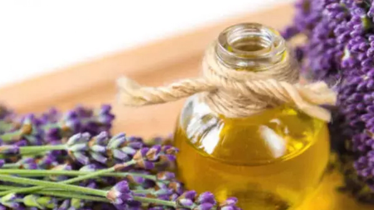 Foto - İbn-i Sina yıllar öncesinden o besin için bakın neler demiş... Şaşırtan şifa kaynağı