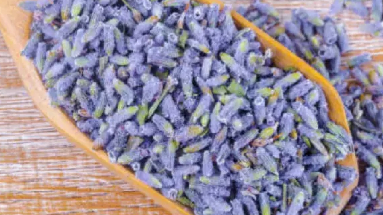 Foto - İbn-i Sina yıllar öncesinden o besin için bakın neler demiş... Şaşırtan şifa kaynağı