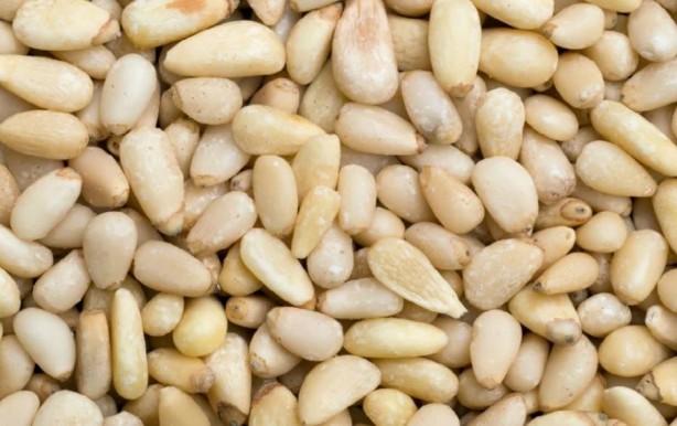 Foto - İbn-i Sina bin yıl önce önerdi! Faydalarına çok şaşıracaksınız: Ömrü uzatan 3 besin...