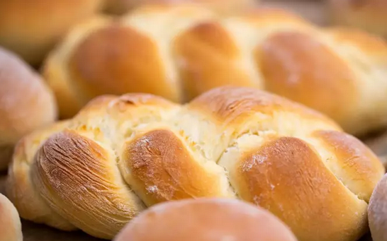 Foto - İbn-i Sina bin yıl önce sağlıklı yaşamanın şifresini vermiş! İşte yapmanız gerekenler ve her şey