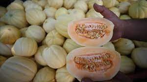 Foto - İbn-i Sina binlerce yıl önce uyarmıştı: O besinin kabuklarını sakın çöpe atmayın! Sırrını hiç duymamıştık