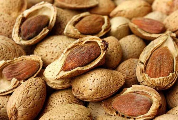 Foto - İbn-i Sina, o besini öve öve bitirememişti! Böbrekleri kurtarıyor, damarları tertemiz yapıyor