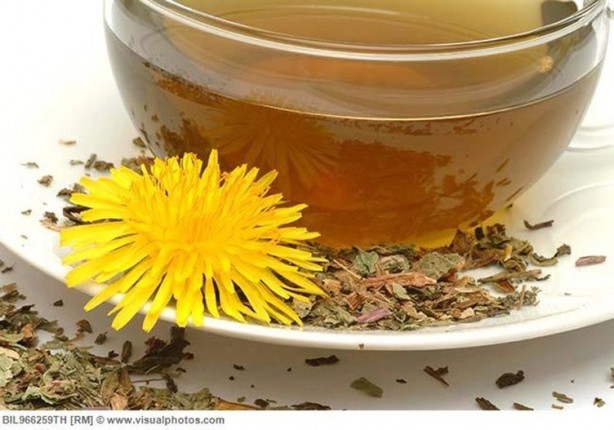 Foto - İbn-i Sina şeker hastalığı tedavisinde kullandı! İşte ’Karahindiba’nın faydaları! Bozulan sistem için harika bir fırsat