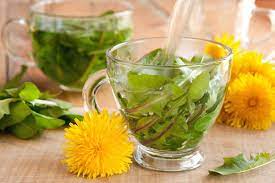 Foto - İbn-i Sina şeker hastalığı tedavisinde kullandı! İşte ’Karahindiba’nın faydaları! Bozulan sistem için harika bir fırsat