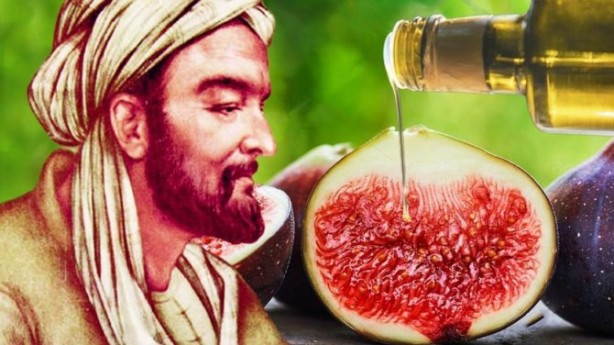 Foto - İbn-i Sina, teee bin yıl önceden önermiş! Günde iki kez tüketen, çelik gibi oluyor! Bunu yiyen, Allah’ın izniyle hastane yüzü görmez