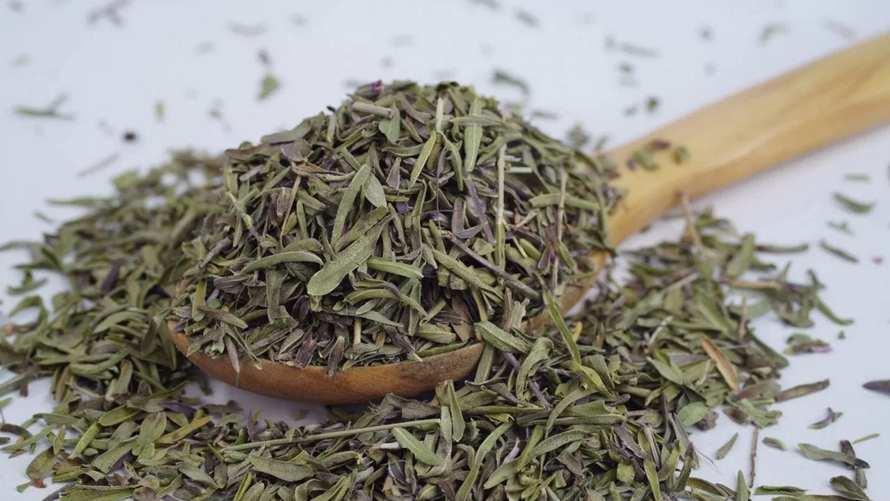 Foto - İbn-i Sina yüzlerce yıl önce anlatmış: Çayını yapıp bardak bardak için, cayır cayır yağ yakan yöntem!